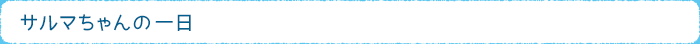 サルマちゃんの一日