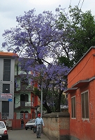 2007.3-5 349.jpg