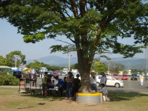 木陰でのんびり過ごすことのできる「青空文庫」