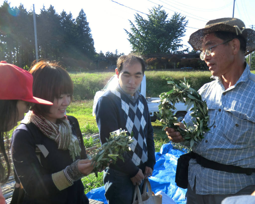 いわきの新鮮野菜をいただきます!