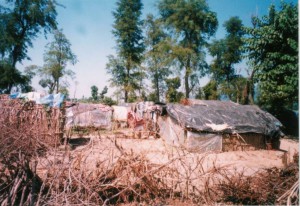 住まいの様子